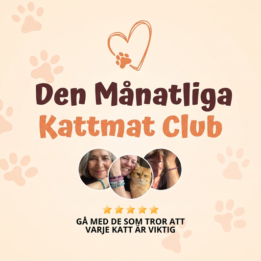Kattmats Tassklubb – varje månad