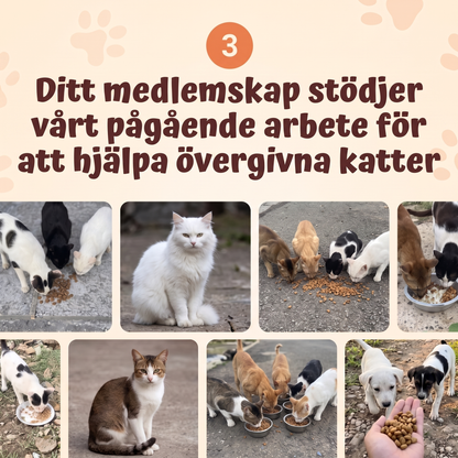 Kattmats Tassklubb – varje månad